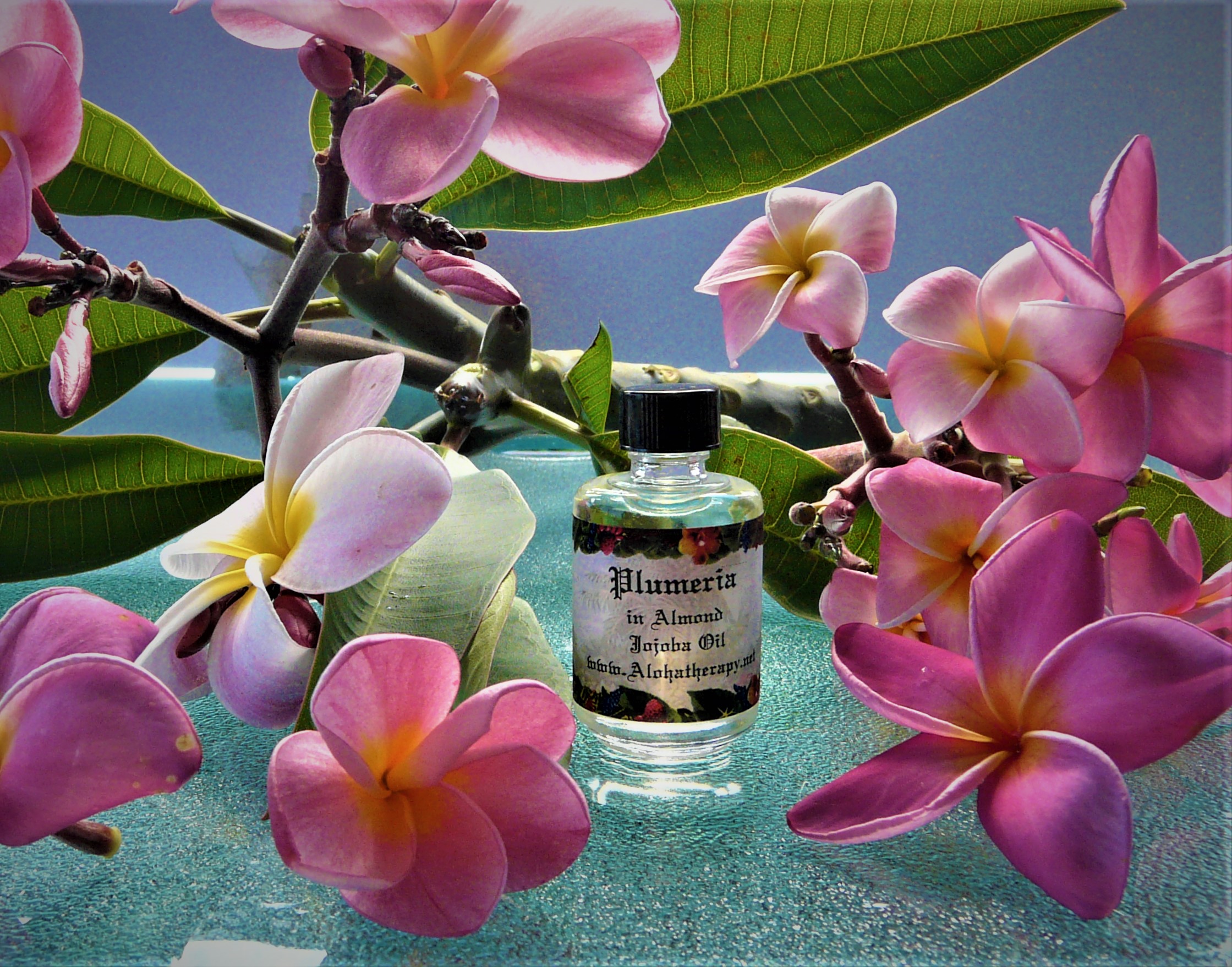 Hawaiian Plumeria Fragrance Scented Oil in Organic Jojoba Oil - Hawaiian  Bath & Body®